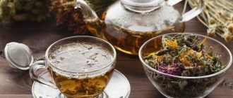 Травы в составе монастырского чая: польза, свойства, противопоказания