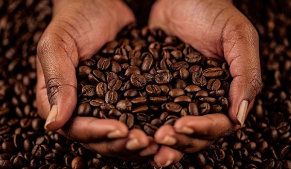 Преимущества органического кофе